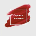 Когда нужно стричь кончики и для чего?